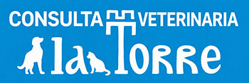 Consulta Veterinaria La Torre